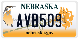 AVB509  license plate in NE
