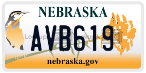 AVB619  license plate in NE