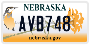AVB748  license plate in NE