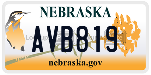 AVB819  license plate in NE