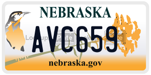 AVC659  license plate in NE