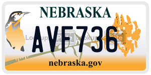 AVF736  license plate in NE