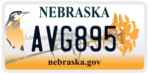 AVG895  license plate in NE