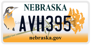 AVH395  license plate in NE