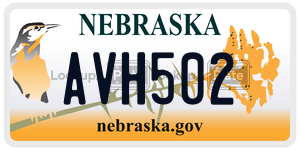 AVH502  license plate in NE