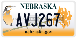 AVJ267  license plate in NE