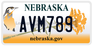 AVM789 license plate in Nebraska