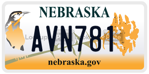 AVN781  license plate in NE