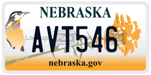 AVT546  license plate in NE