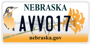 AVV017  license plate in NE