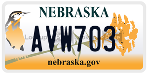 AVW703  license plate in NE