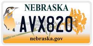 AVX820  license plate in NE