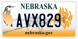 AVX829  license plate in NE