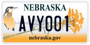 AVY001  license plate in NE