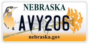 AVY206  license plate in NE
