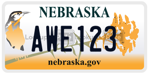 AWE123  license plate in NE