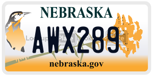AWX289  license plate in NE