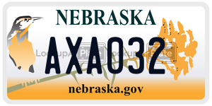 AXA032  license plate in NE