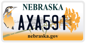 AXA591  license plate in NE