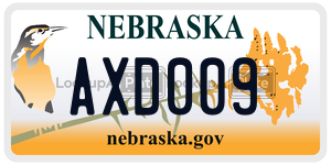 AXD009  license plate in NE
