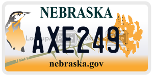 AXE249  license plate in NE