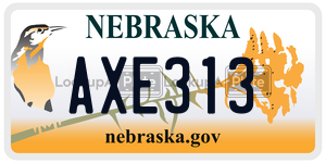 AXE313  license plate in NE