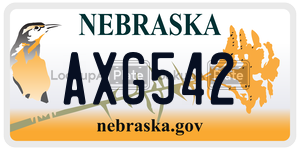 AXG542  license plate in NE