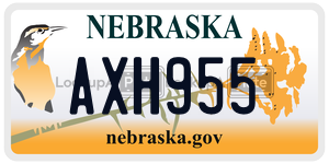 AXH955  license plate in NE