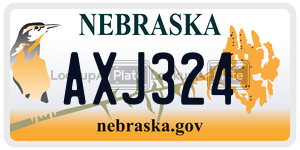 AXJ324 license plate in Nebraska