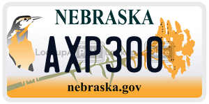 AXP300  license plate in NE