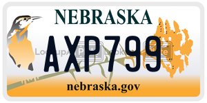 AXP799  license plate in NE