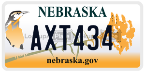 AXT434  license plate in NE