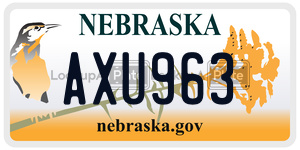 AXU963  license plate in NE