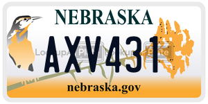 AXV431  license plate in NE