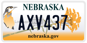 AXV437  license plate in NE