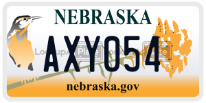 AXY054  license plate in NE