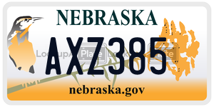 AXZ385  license plate in NE