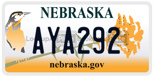 AYA292  license plate in NE