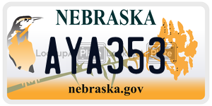 AYA353  license plate in NE
