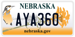 AYA360  license plate in NE