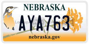 AYA763  license plate in NE