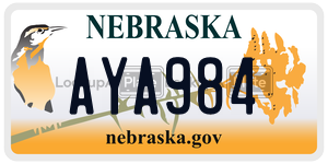 AYA984  license plate in NE