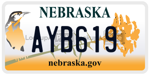 AYB619  license plate in NE