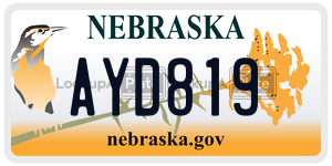 AYD819  license plate in NE