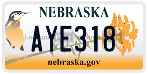 AYE318  license plate in NE