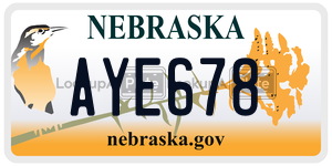 AYE678  license plate in NE