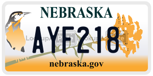 AYF218  license plate in NE