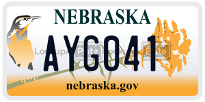 AYG041  license plate in NE