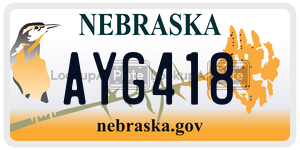 AYG418  license plate in NE