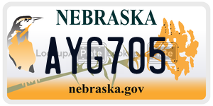 AYG705  license plate in NE